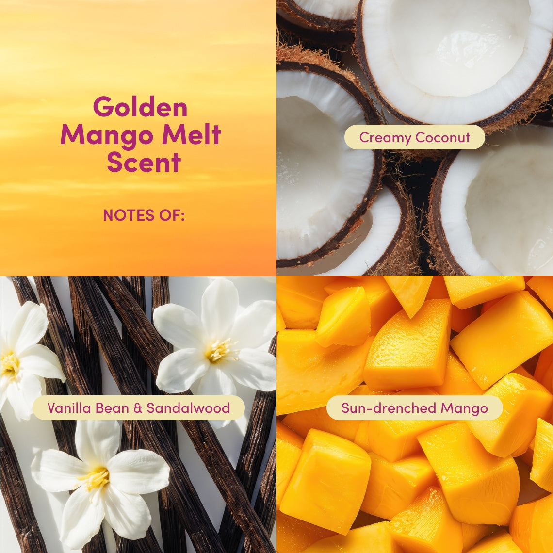A four-panel graphic for a Golden Mango Melt Scent fragrance. The top-left panel has a yellow-to-orange gradient background with the text 'Golden Mango Melt Scent' and 'NOTES OF:'.
